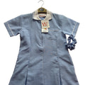 Gingham Dress