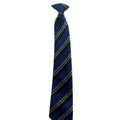St Patrick's College Maghera Tie